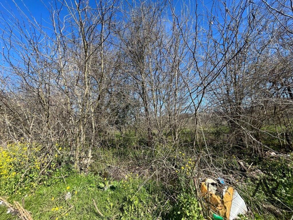 Campo en venta de 20m2 ubicado en Canelones