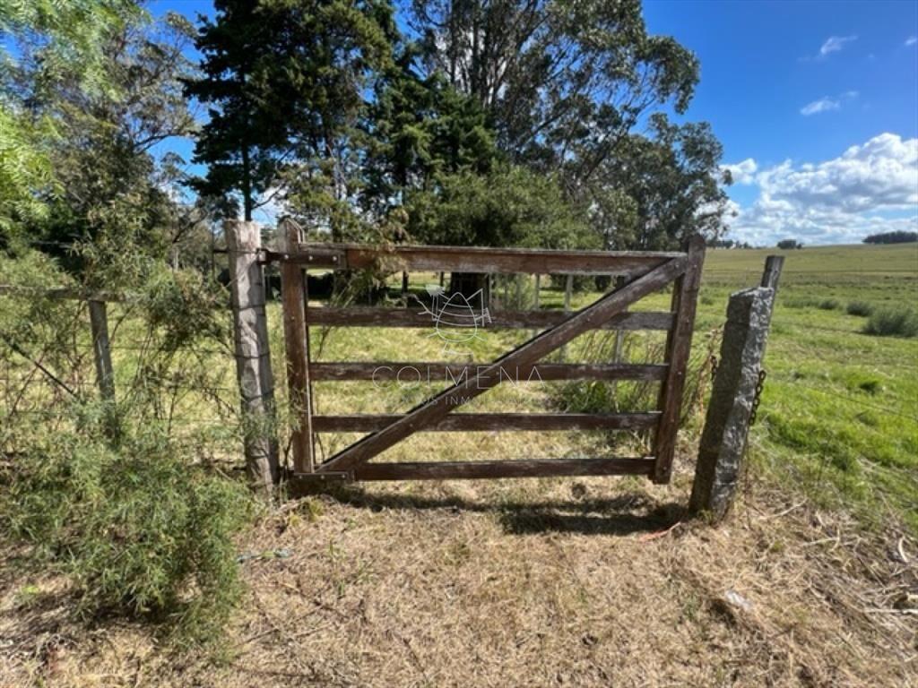Campo 5 has con 2473 m2 sobre ruta 9