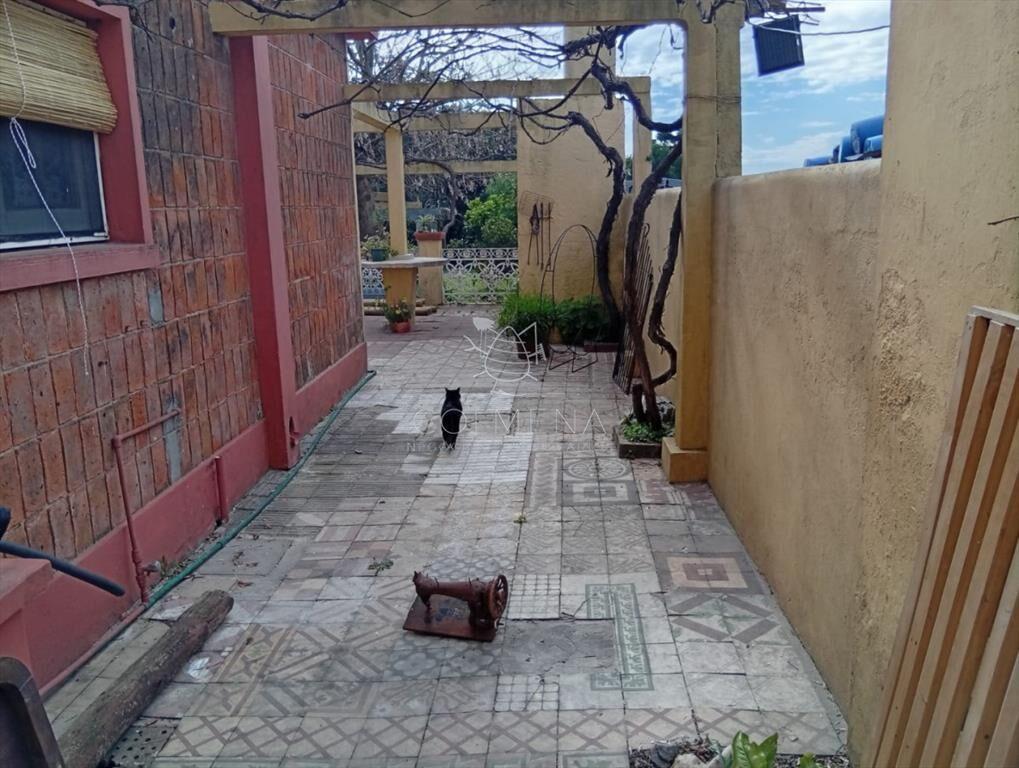 Casa en el Centro de San Carlos