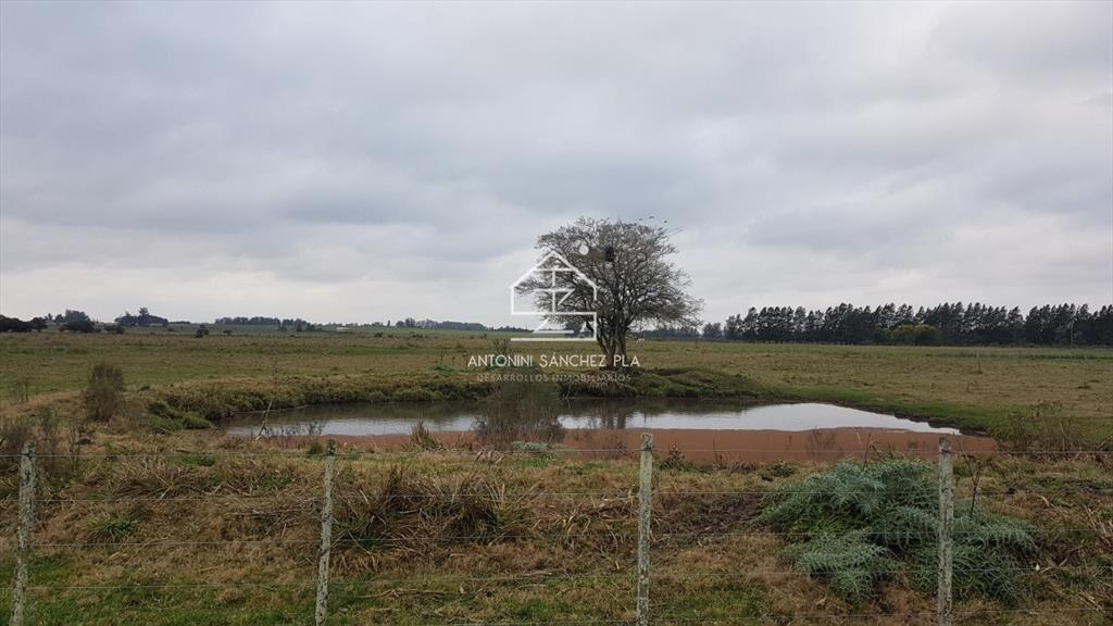 Venta chacra en la pataia