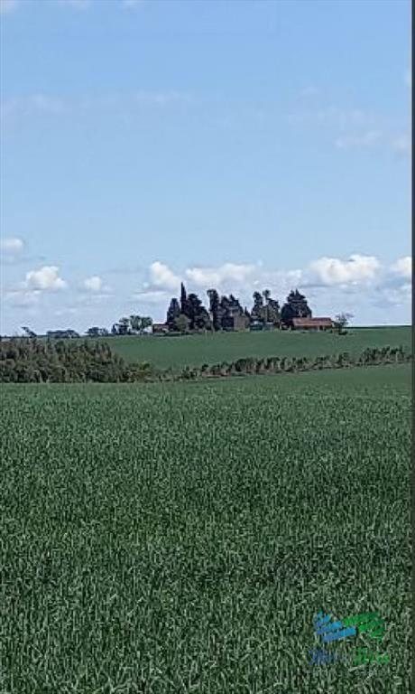 Excelente ubicación, Campo Mixto a poca de todo