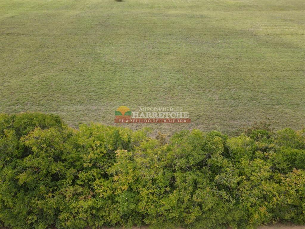 Terreno en Progreso, 360 m2 en Jardín de los (4)