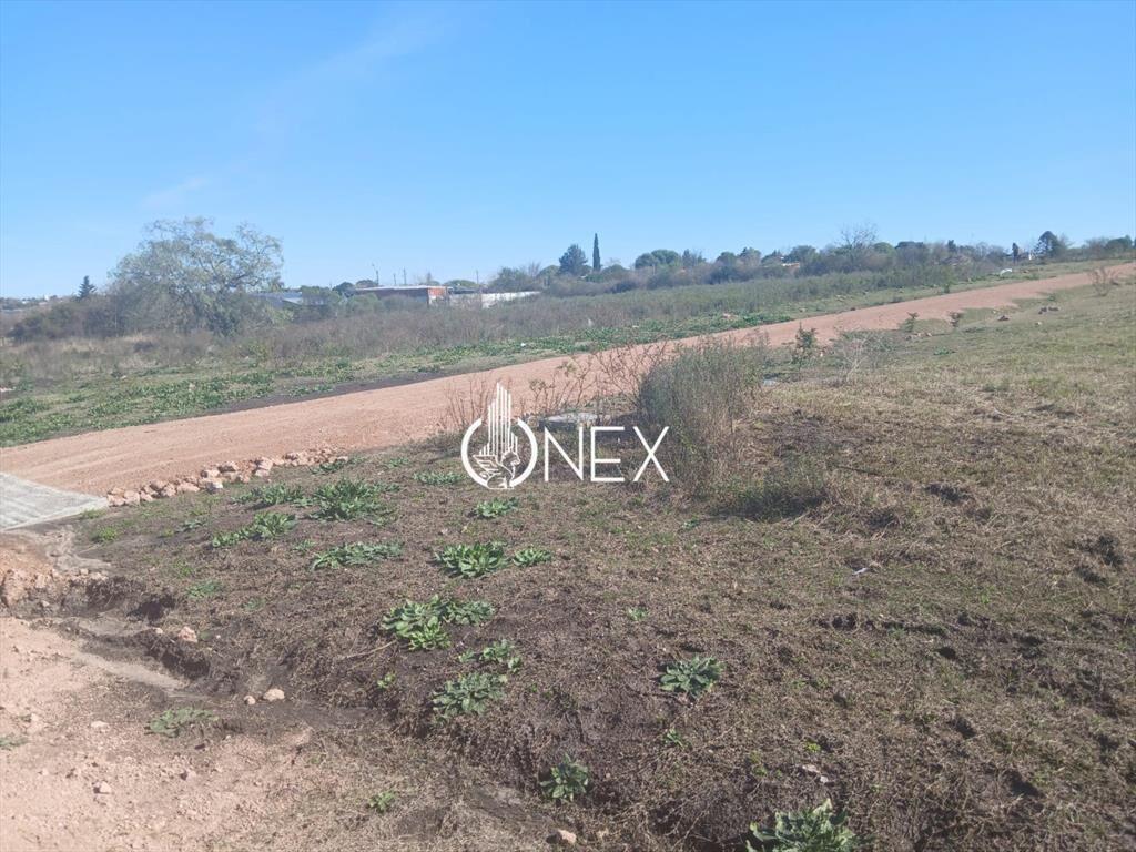 TERRENOS EN VENTA CON FIANANCIACION ENTREGA DE