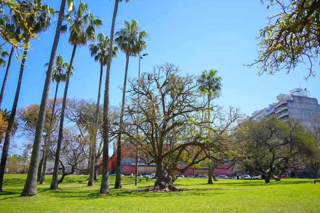 Apartamento en Venta Punta Carretas Estrena 2026