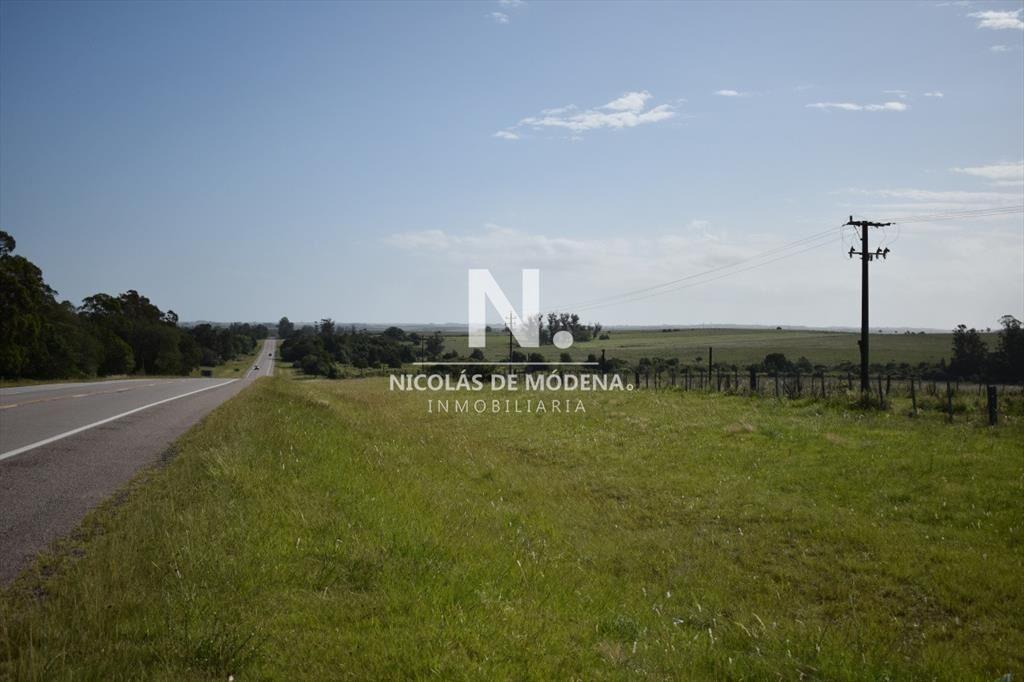 Campo Ruta 9  SAN CARLOS