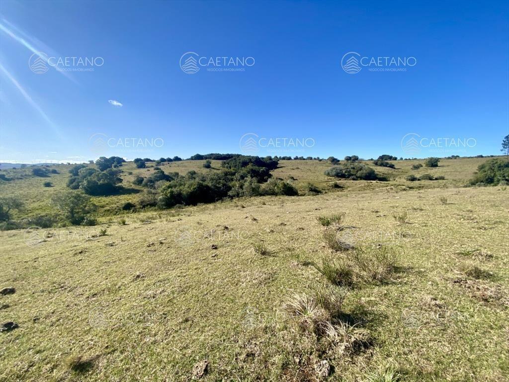 Venta chacra 5 hectáreas. Camino del Olivo,