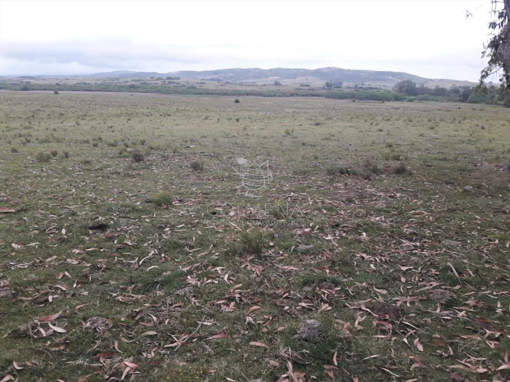 Campo de 47 has en Paraje los Caracoles - !!!!!