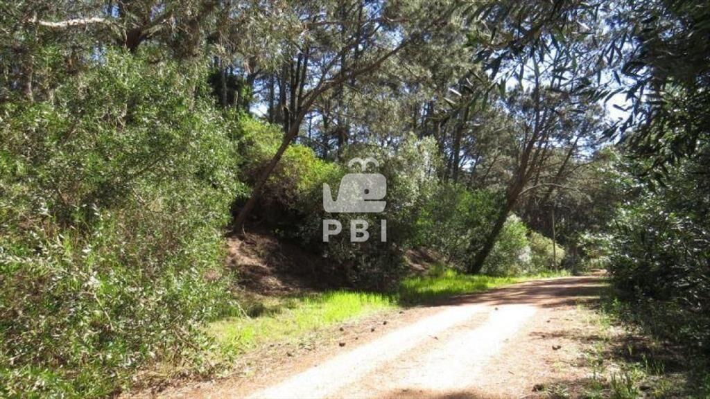Terreno en venta Club Del Lago - Ref : PBI1151