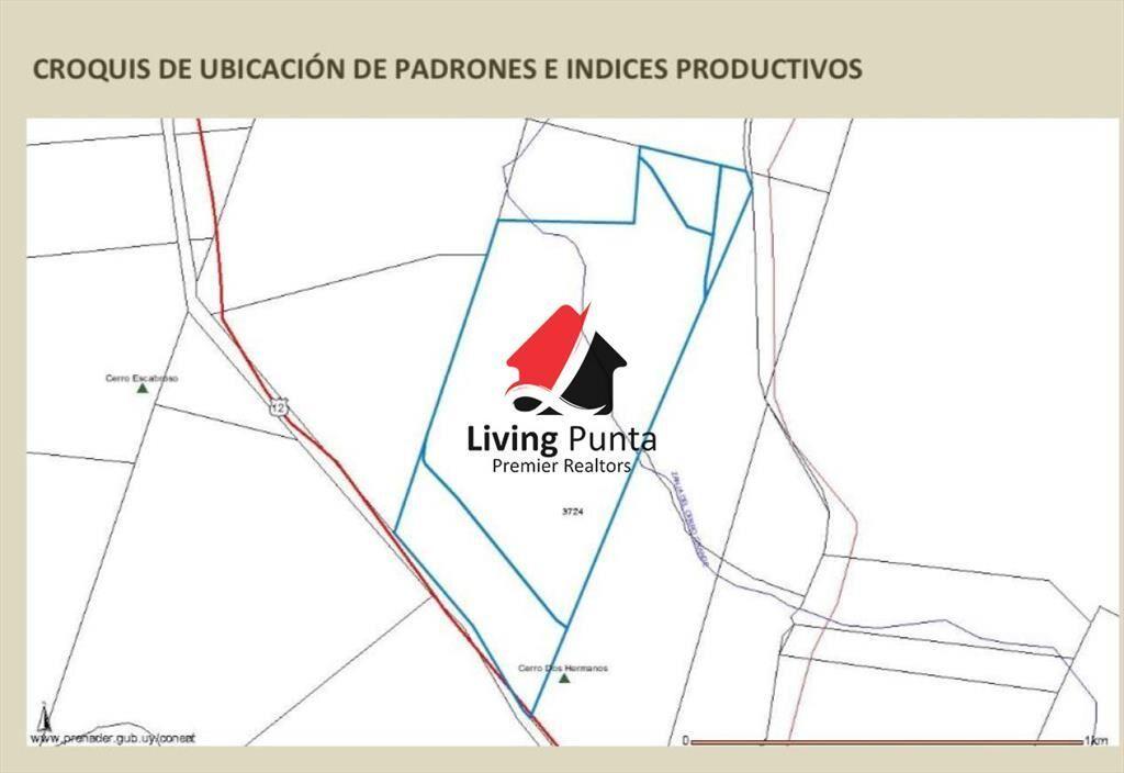 Muy buen campo 100% ganadero en ruta 12