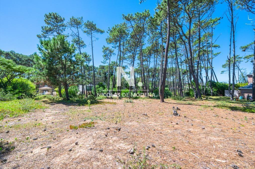 Vende terreno en Laguna Blanca.