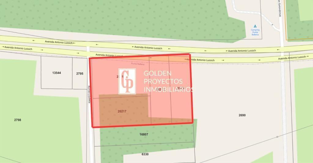 Terreno en venta Puta Ballena