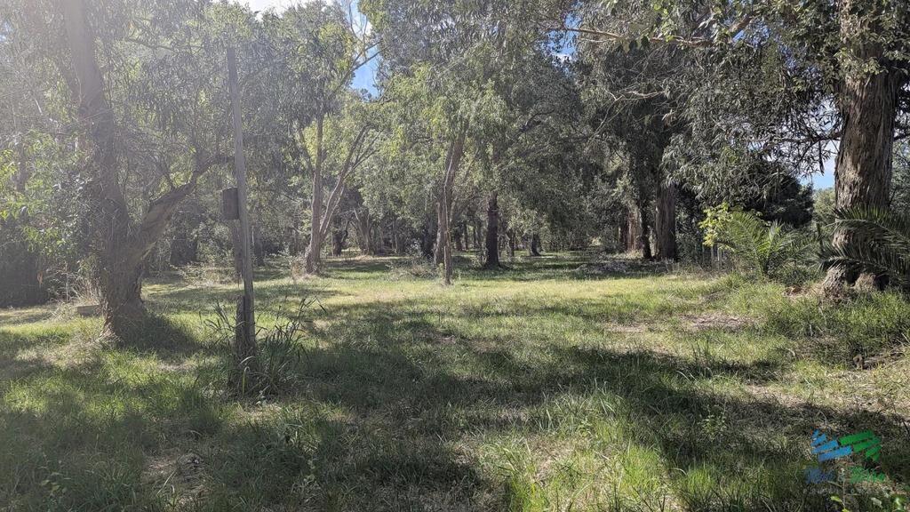 Venta de chacra de 10 has frente al mar en Las