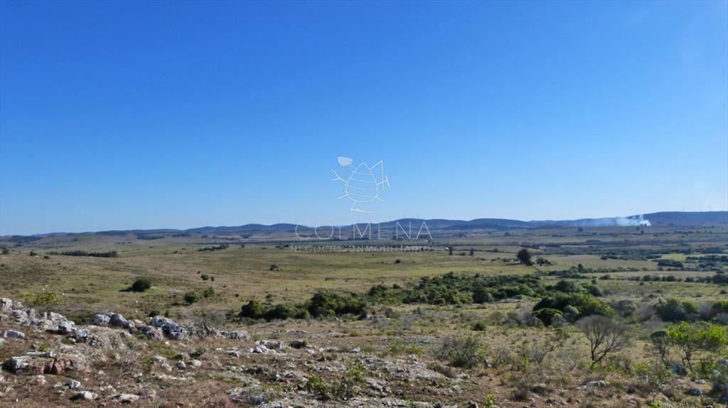 Campo cerca ruta 39 en las Cañas