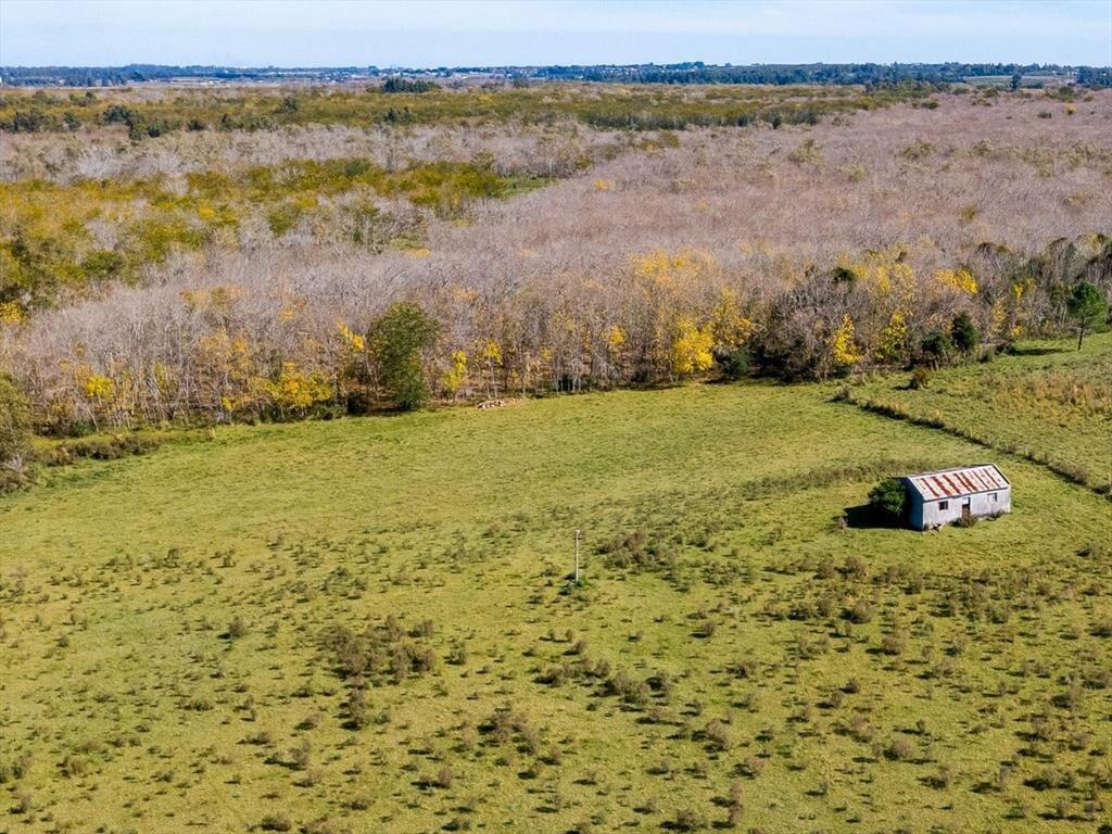 Venta de campo con 6 Ha. en Rincón de Pando