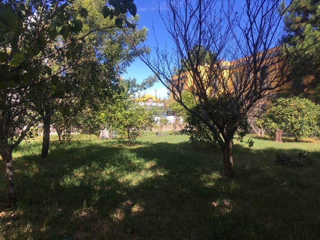 Terreno en Maldonado ATENCION INVERSORES!