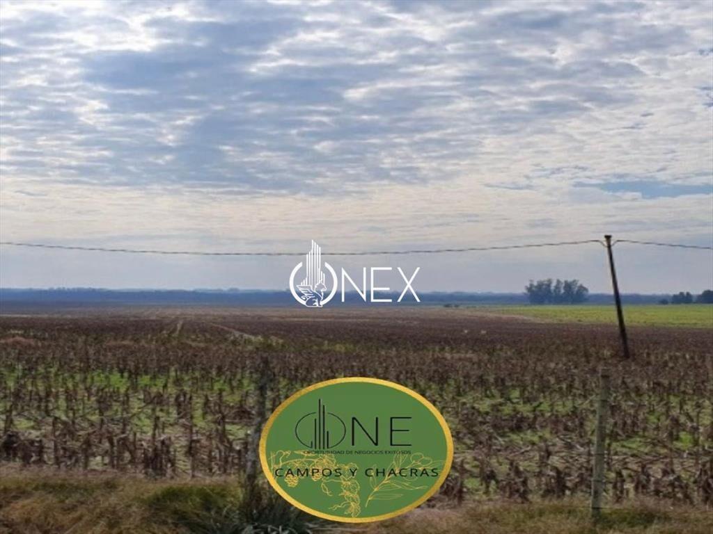 SE VENDE CAMPO AGRICOLA GANADERO EN SAN RAMÓN