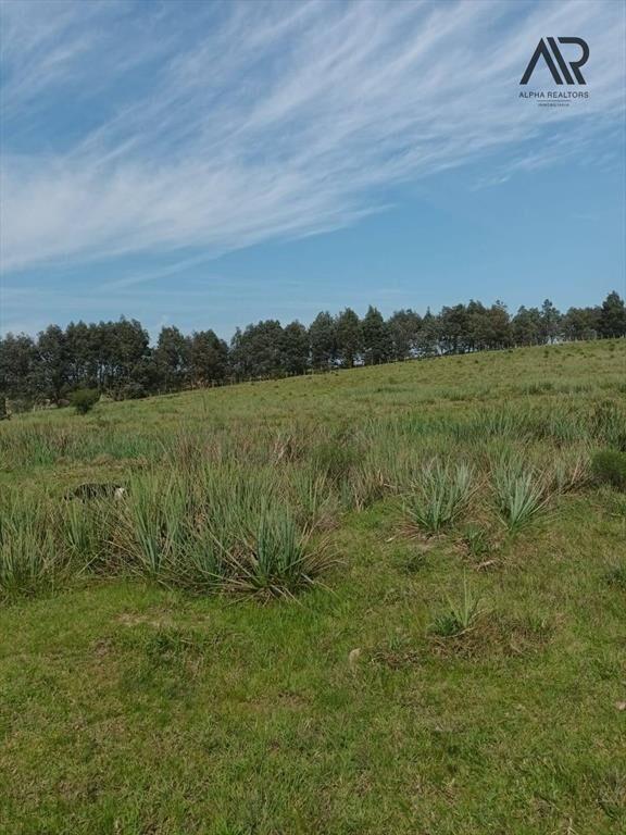 Chacra en venta de 10ha ubicado en San Carlos