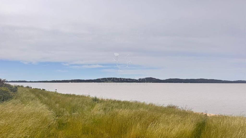 5 has con costa de laguna del sauce