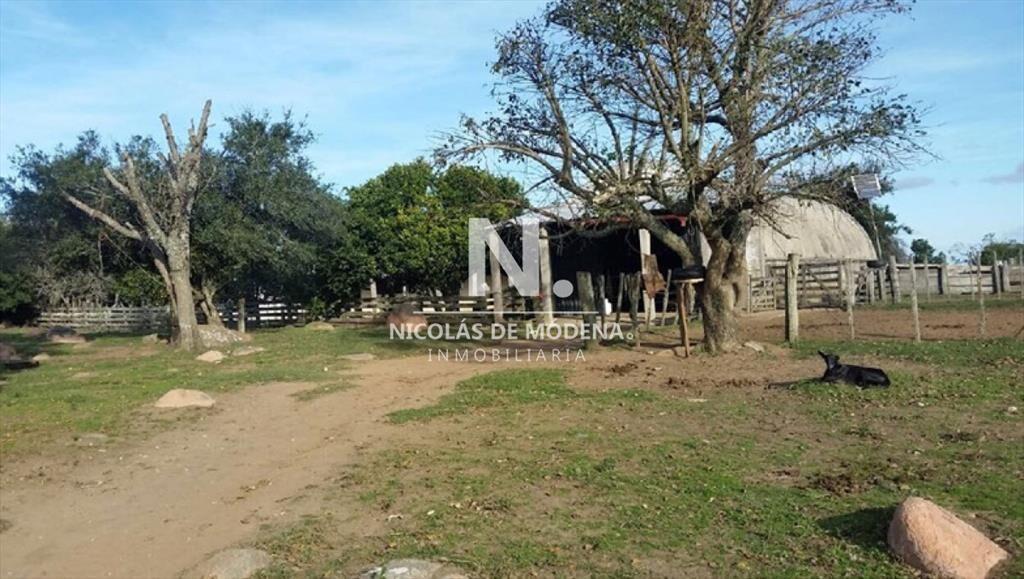 En venta campo criador en Montevideo - Treinta y