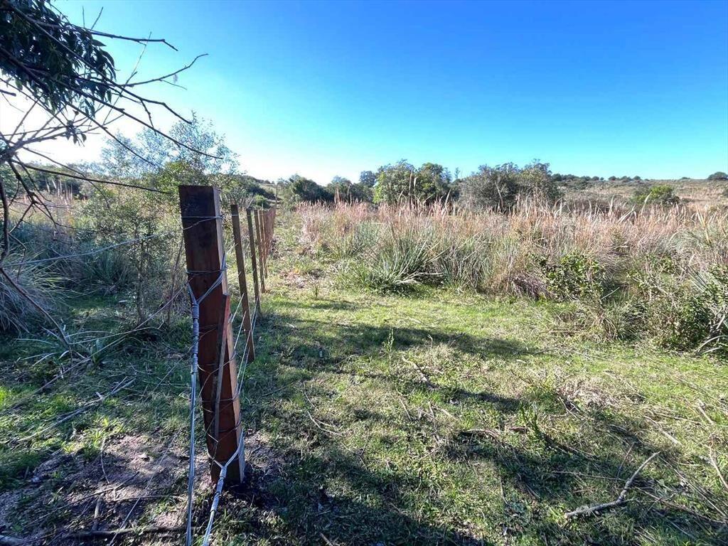 Campo en venta al norte de Garzón - Buen acceso