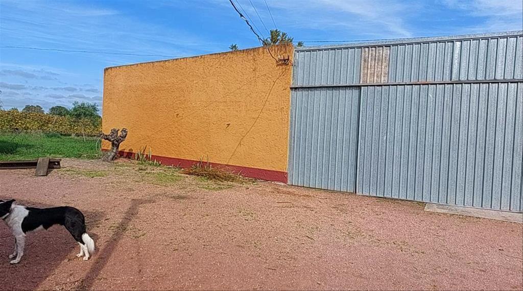 Venta de Chacra productiva en Melilla casas viñedos montes