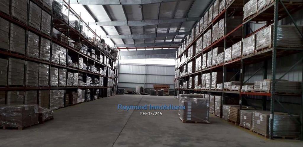 Alquiler Local 5560m2 edif. 5 has de terreno. San José