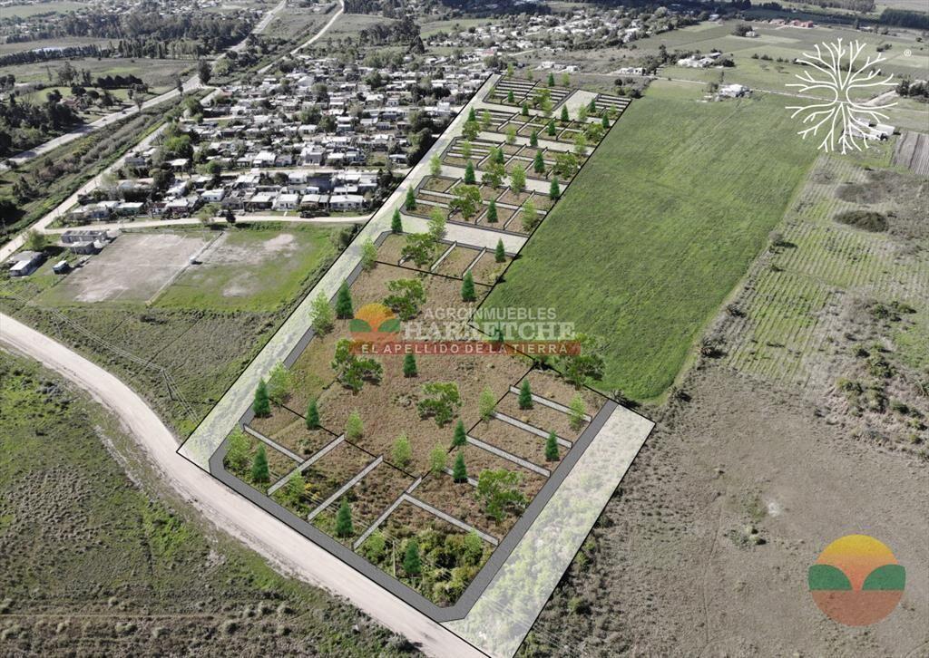 Jardín de Los Manzanos   - Terrenos en Progreso