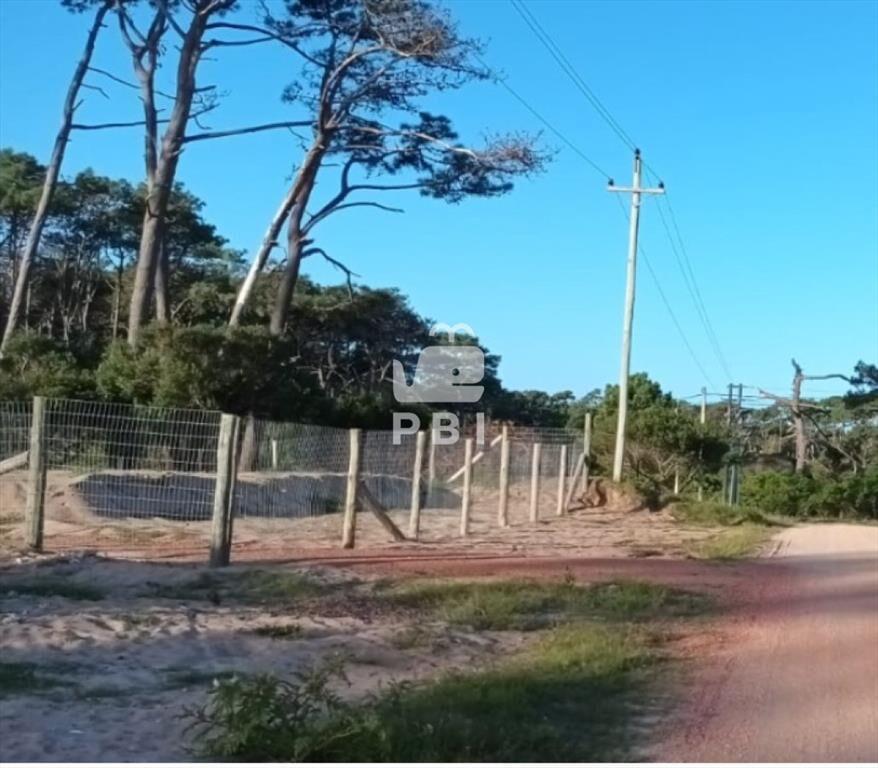Venta de terreno, excelente ubicación, Punta - :
