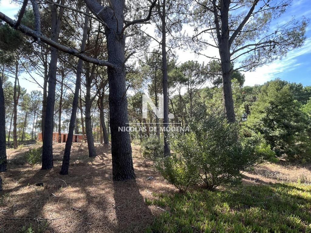 Terreno en venta en La Barra, rodeado de bellos