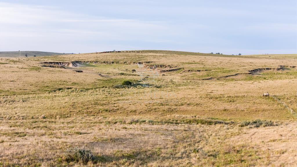 Venta campo 120 hectáreas, Garzón , Maldonado