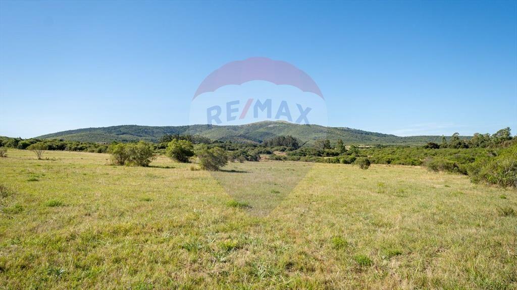 Chacra en venta en las sierras - Oportunidad !!