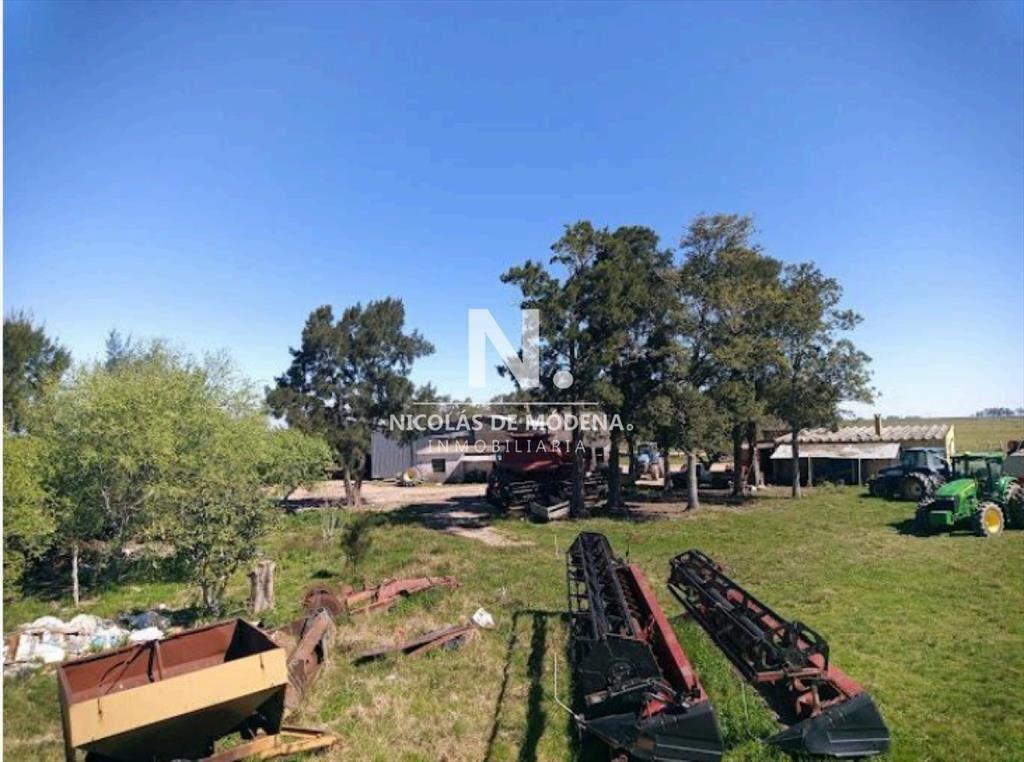 Vende Campo de 2 padrones en Treinta y tres.