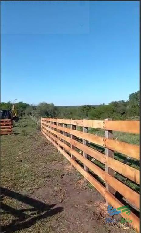 Excelente ubicación, Campo Mixto a poca de todo