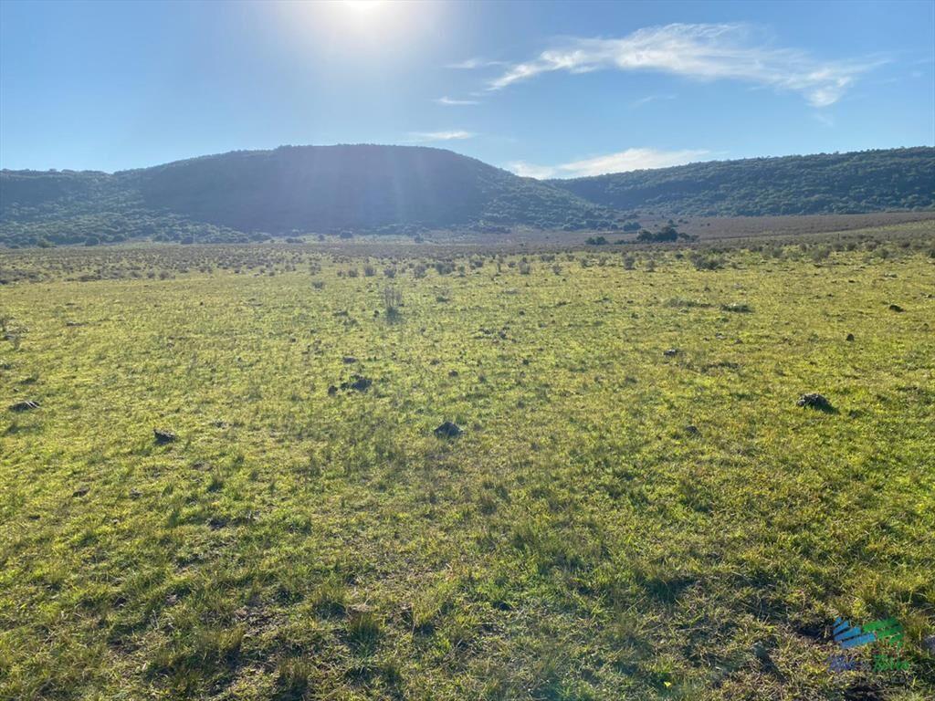 Buen campo mixto a 1 hora de Punta, buen acceso e