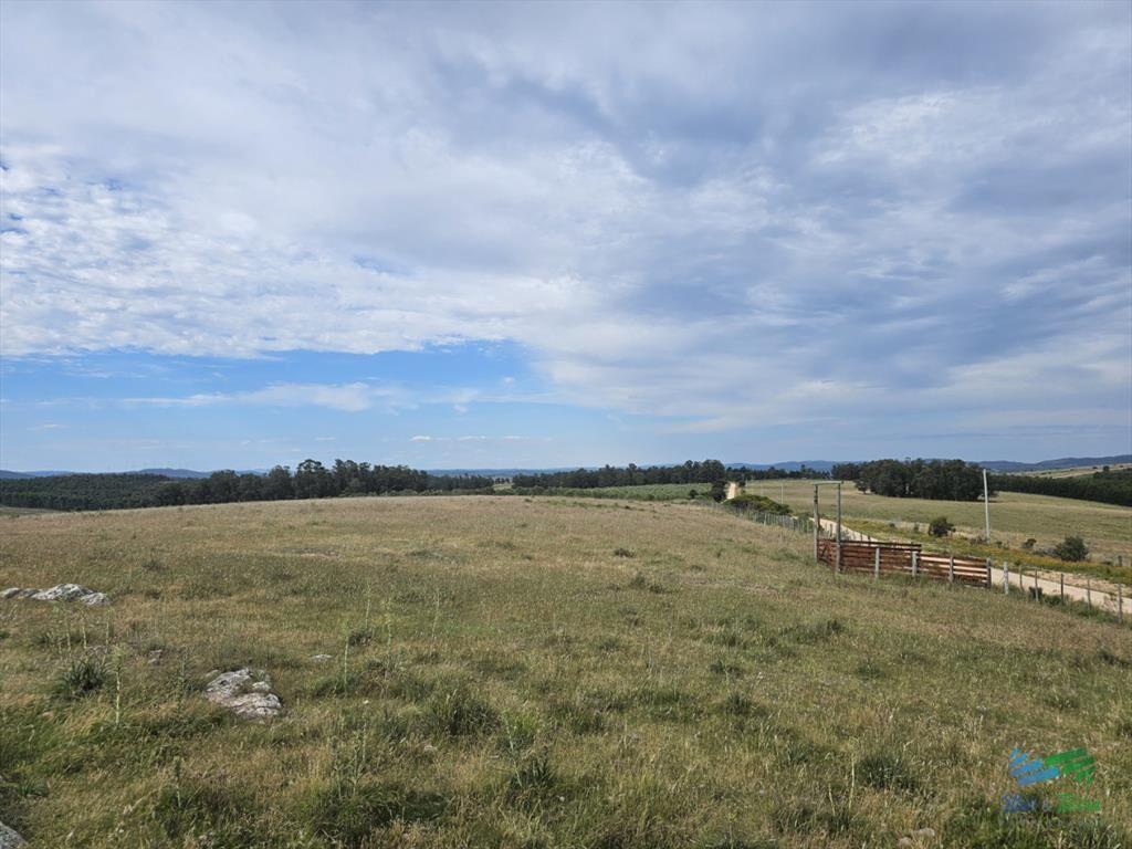 En venta chacra 3 hectareas, proxima ruta 39, a