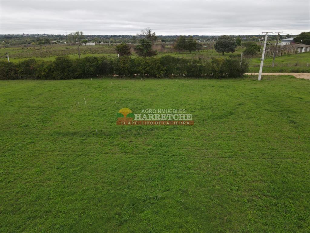 Terreno de 364 m2 en Progreso, Jardín de los (1)