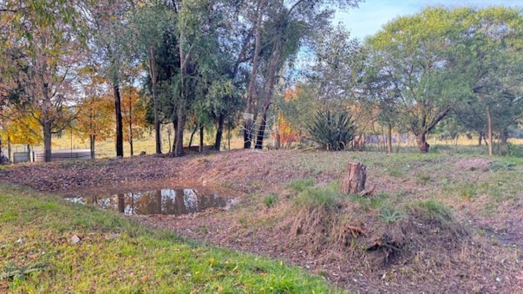 Campo de 4 has 1602 m2 muy cerca de ruta 12 y la