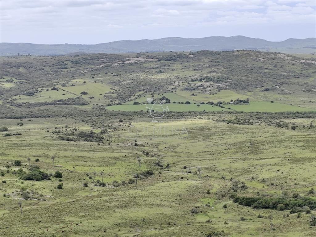 Campo de 200 hás en el departamento de Maldonado