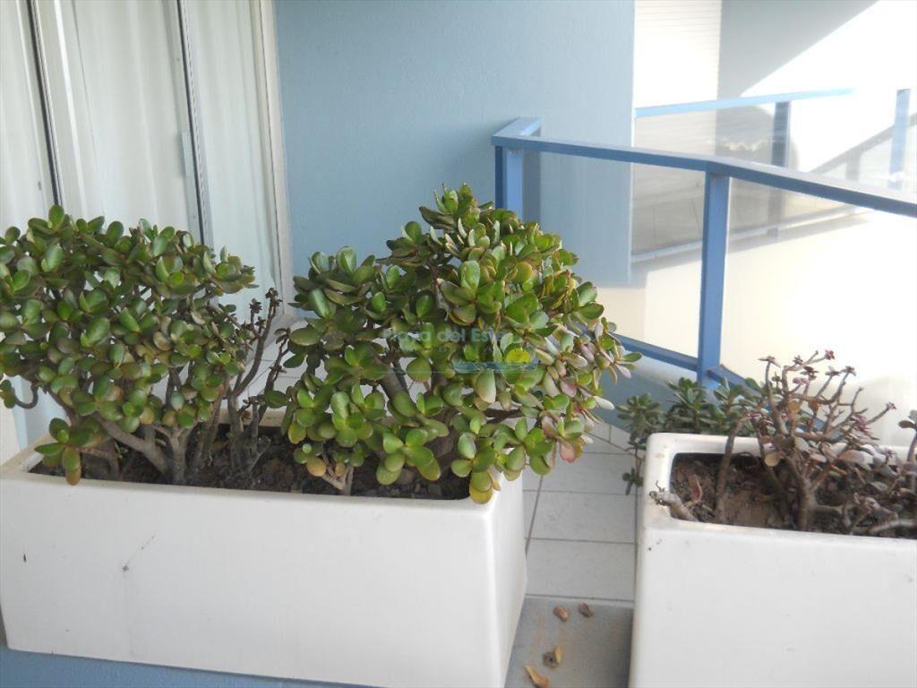 Apartamento en Venta de 2 dormitorios en Punta ,