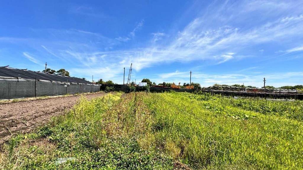 Venta Manga Terreno Suburbano Ideal Logística