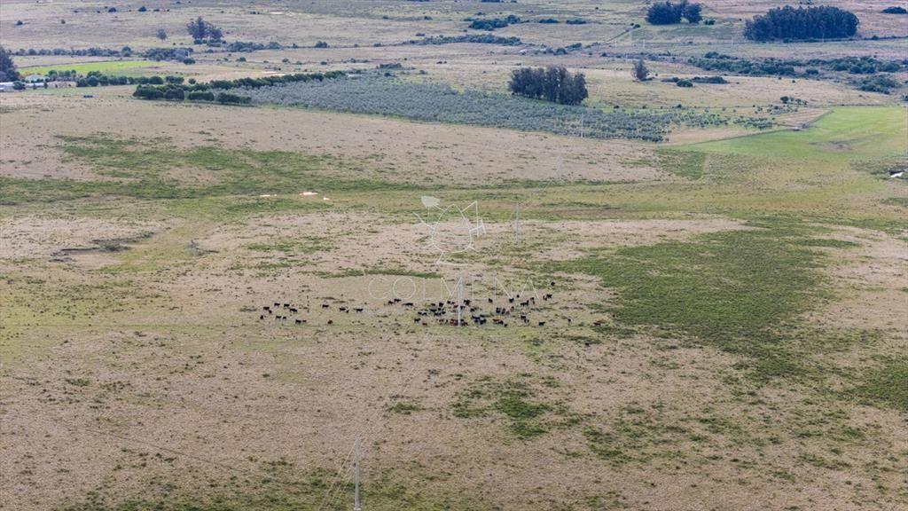 Venta campo 120 hectáreas, Garzón , Maldonado