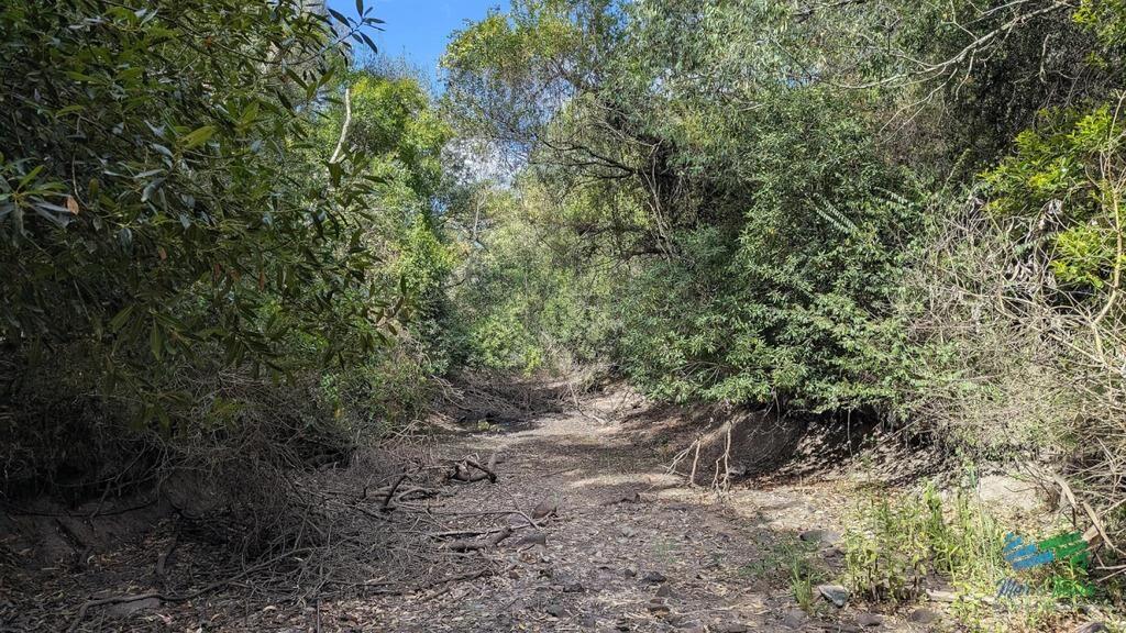 Venta de chacra de 10 has frente al mar en Las