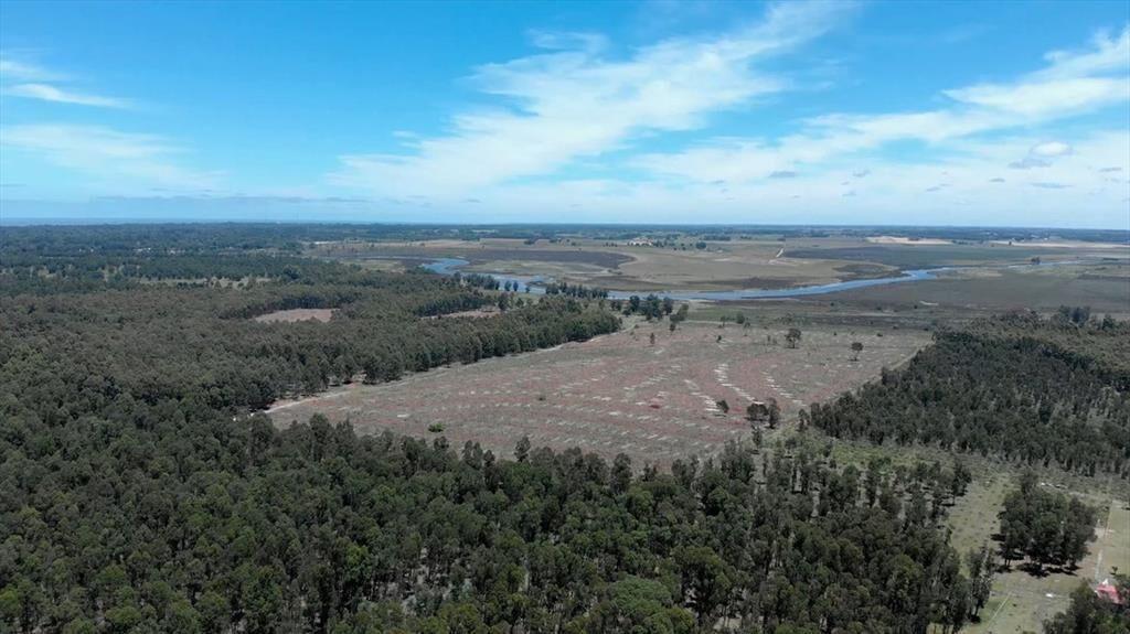 Venta de campo 76Has con costa