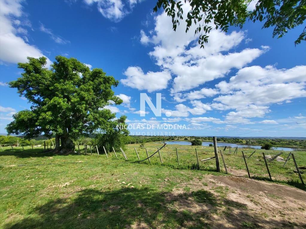 Vende Campo en Lavalleja de 1075 con casa y de