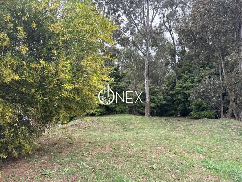 Se vende terreno frente a ruta interbalnearia en