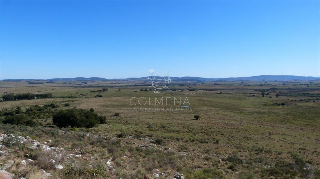 Campo cerca ruta 39 en las Cañas