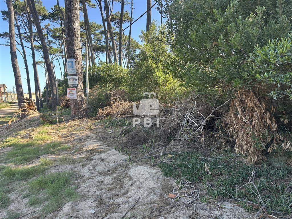Venta de excelente terreno en Punta Ballena - Ref : PBI145