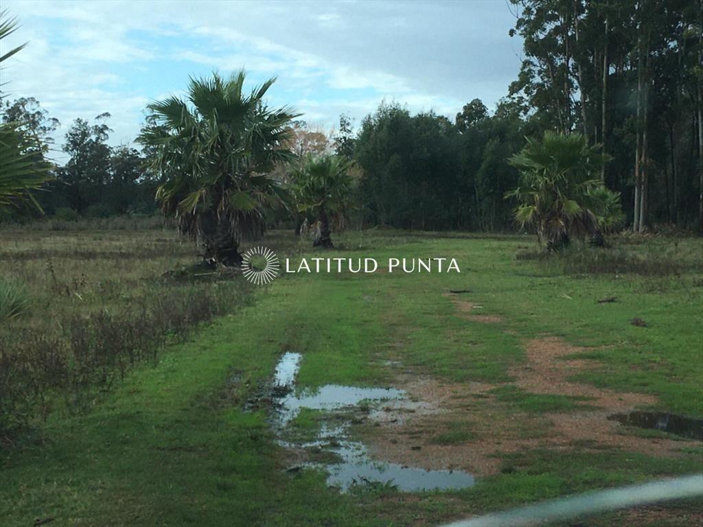 Chacra en La Pataia, Punta Ballena