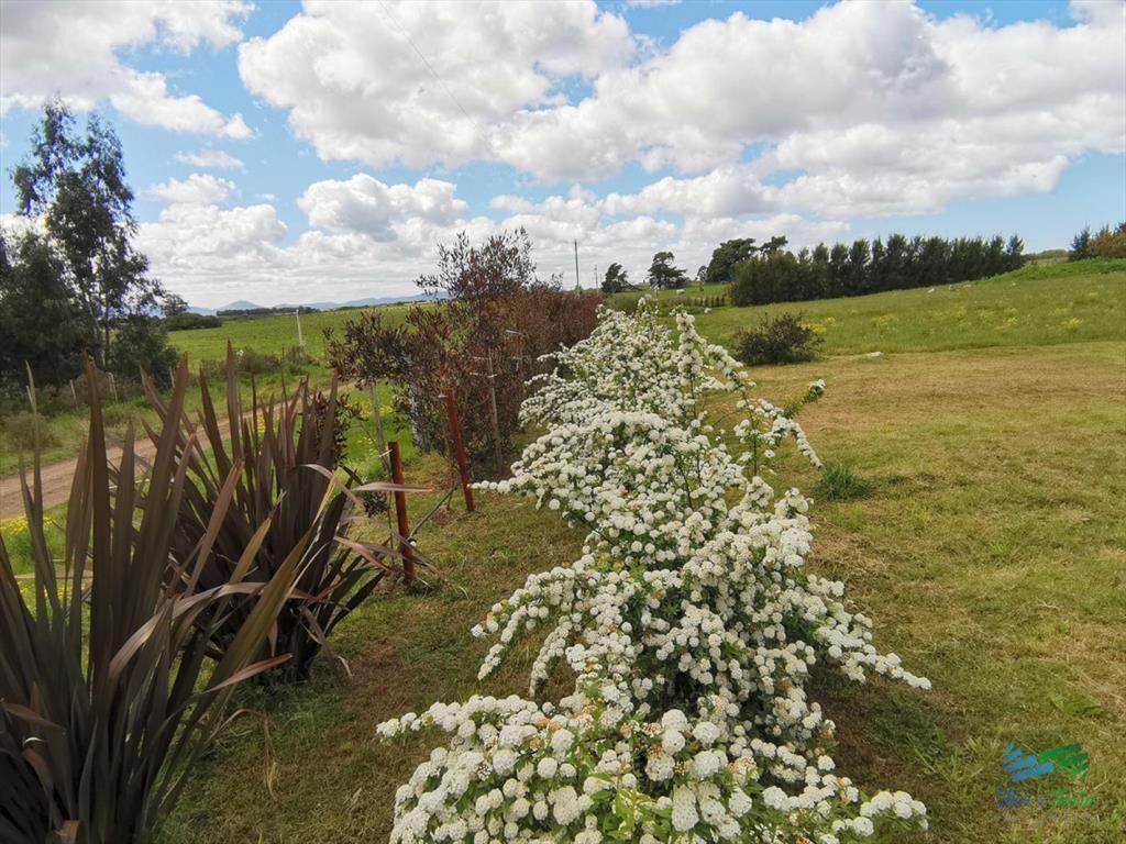 En venta chacra de 6 hectareas con casa a 1 hora