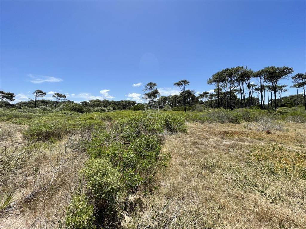 Terreno de 1050 m2 en chihuahua cerca de la